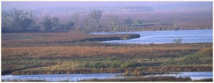 Wisconsin wildlife sanctuaries