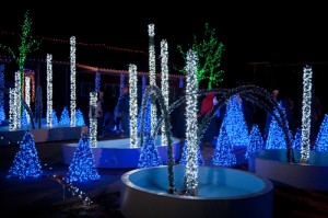 Enchantment in the Park 1