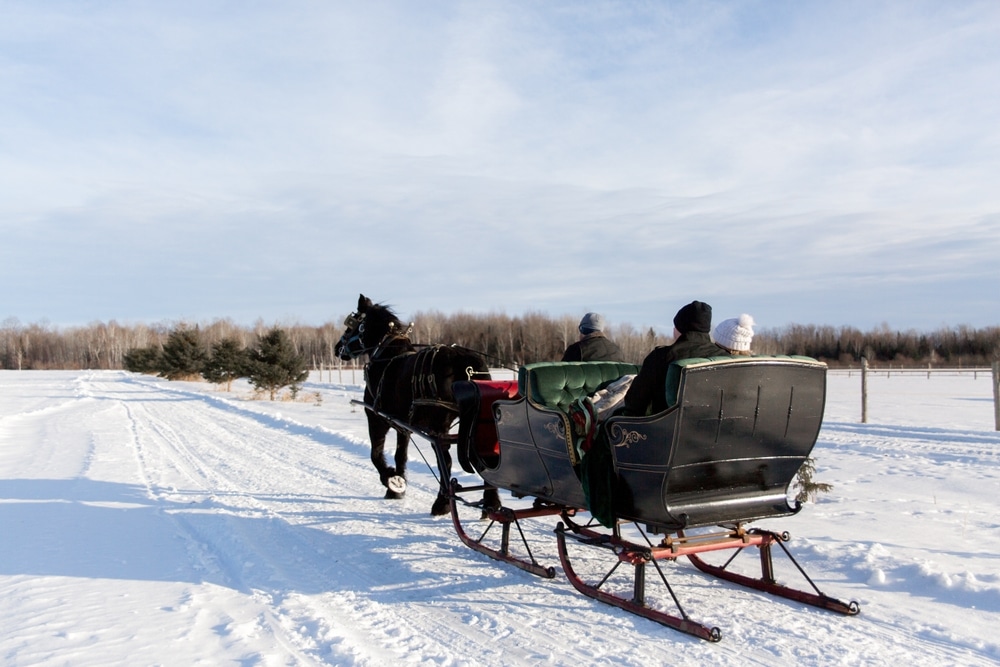 Winter sleigh ride through the snow, one of the best things to do in West Bend, WI during your Wisconsin winter getaway