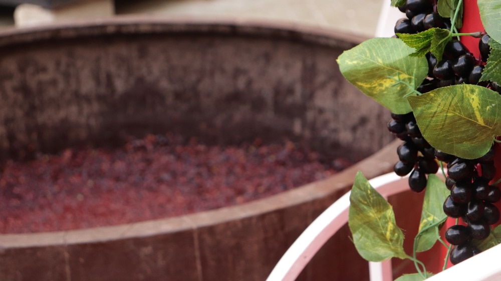 Enjoy a traditional Grape Stomp at the Wine & Harvest Festival, one of the signature Cedarburg Events each year