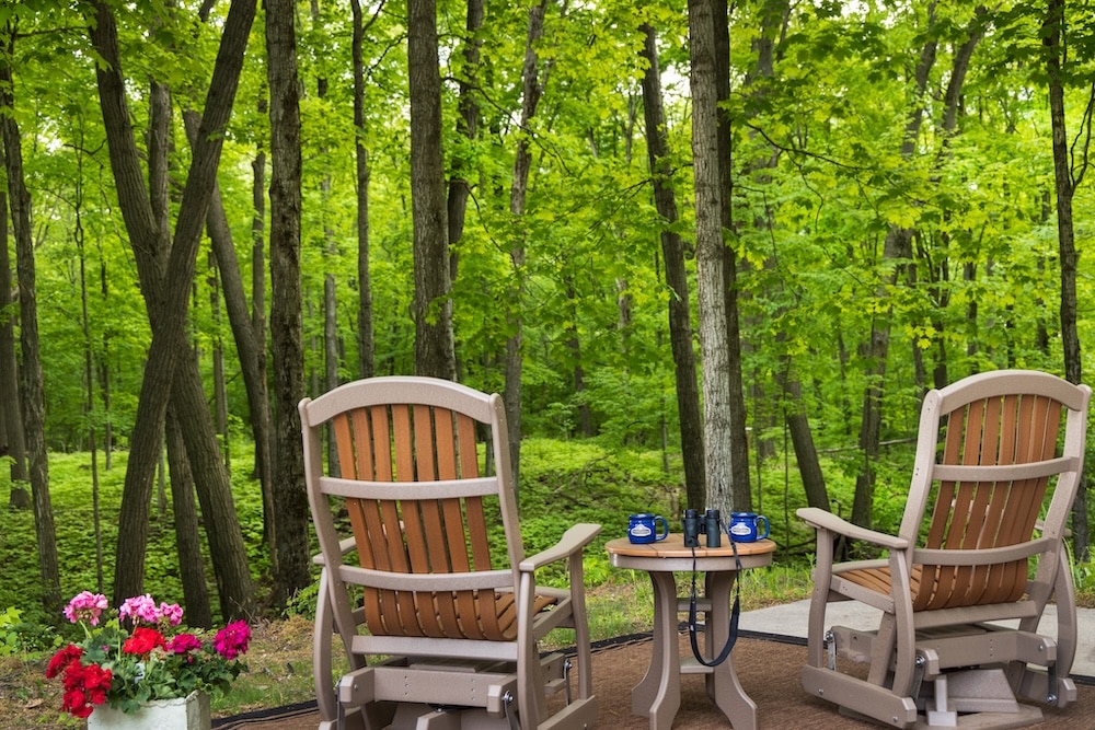 Chairs in the woods - forest bathing at our top-rated Bed and Breakfastin Wisconsin