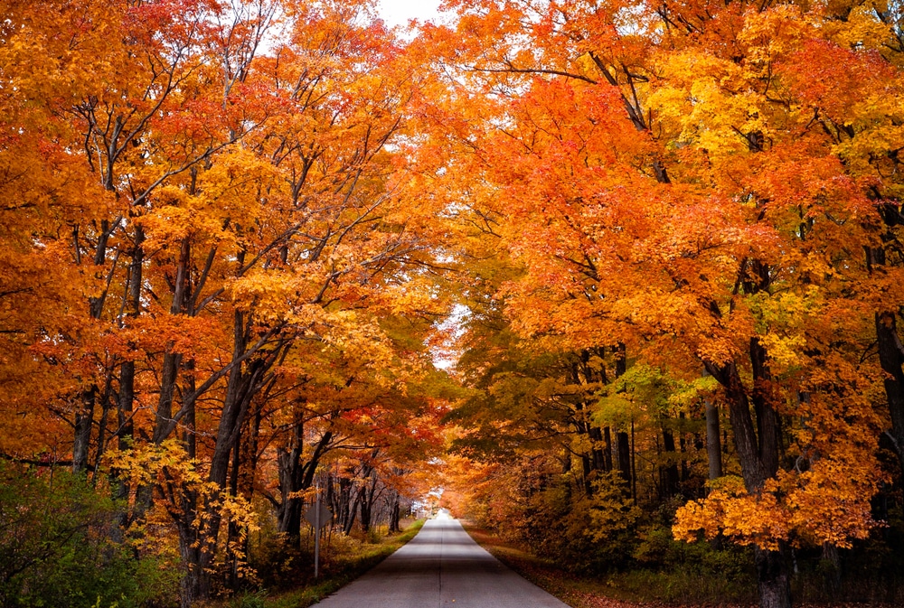 Scenic drive through Wisconsin fall colors on your getaways near Chicago